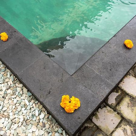 Buana Home Stay Ubud Buitenkant foto